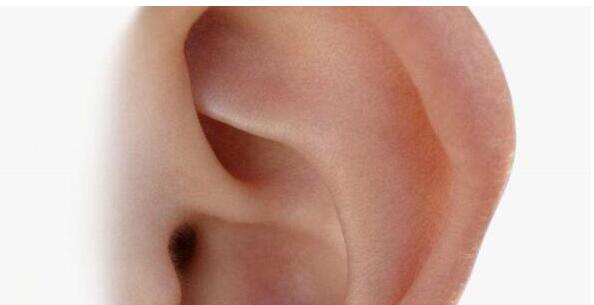 孩子耳畸形的原因