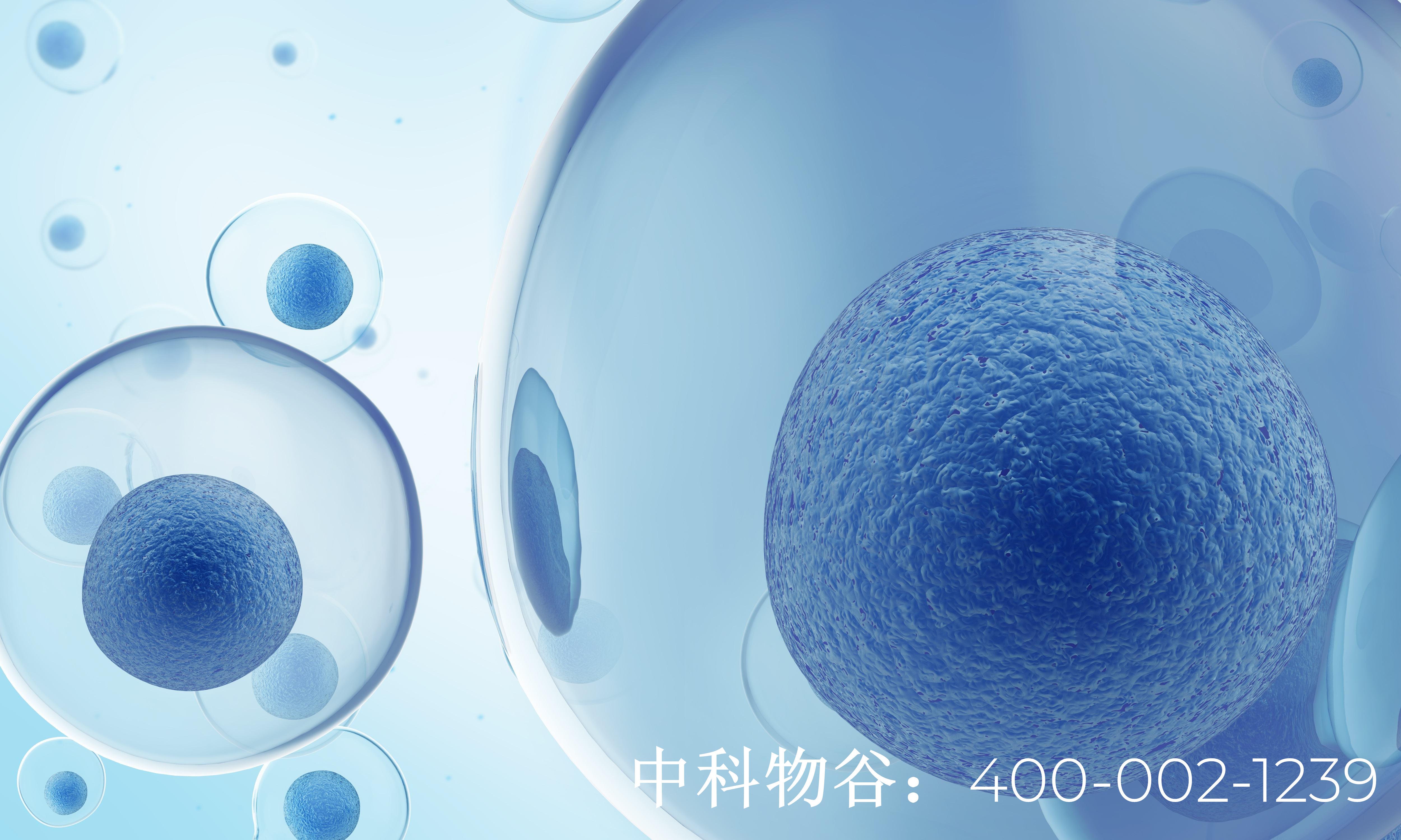 中國七大干細胞庫都是