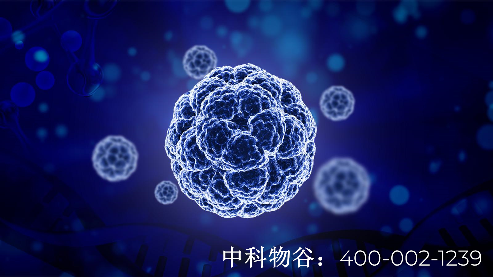 北京中科物谷NK免疫細胞治療卵巢癌