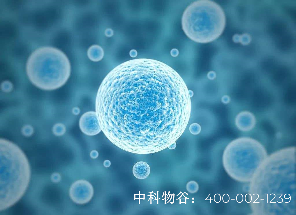 中國有多少家干細胞公司