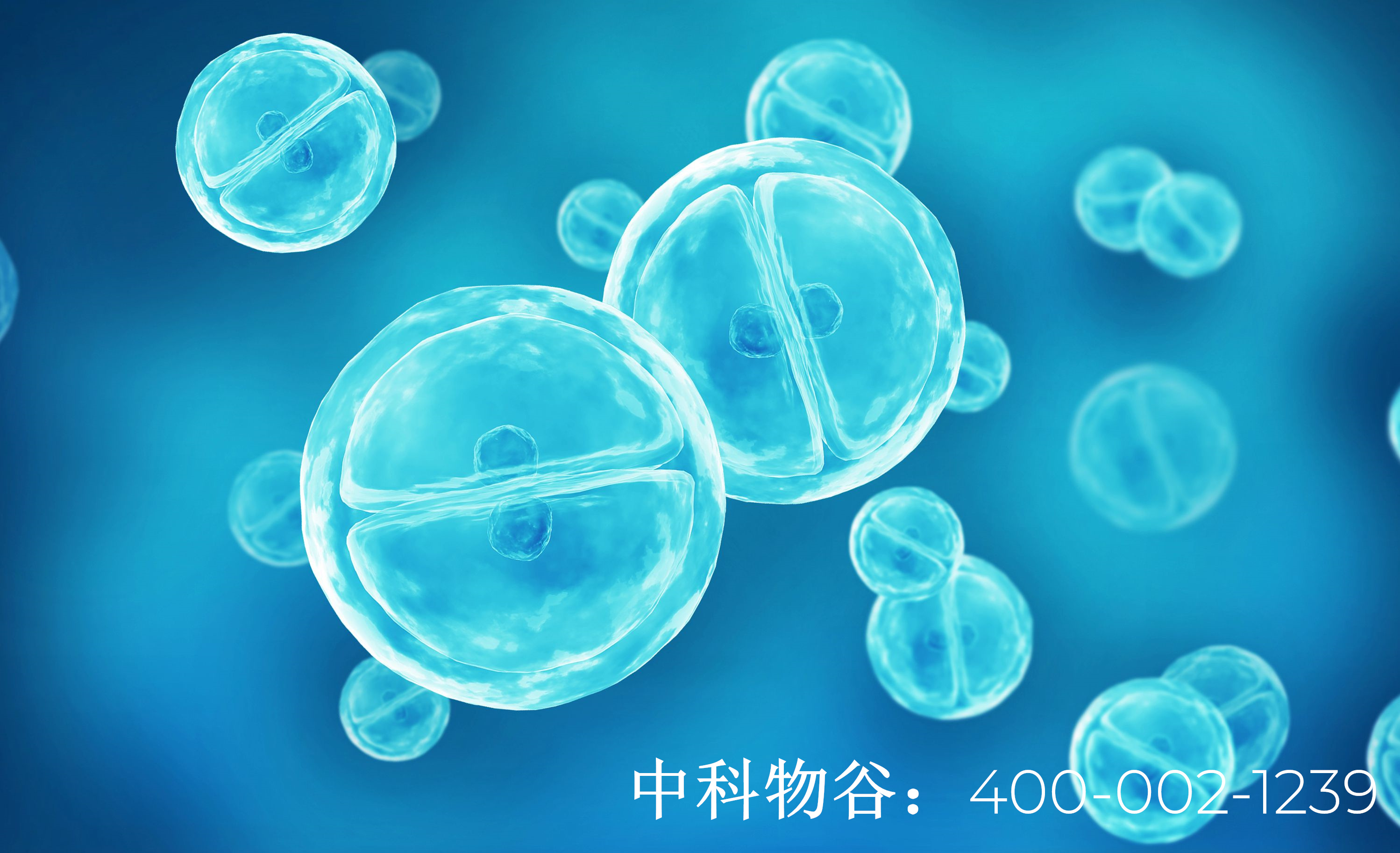 中国有多少家干细胞公司呢
