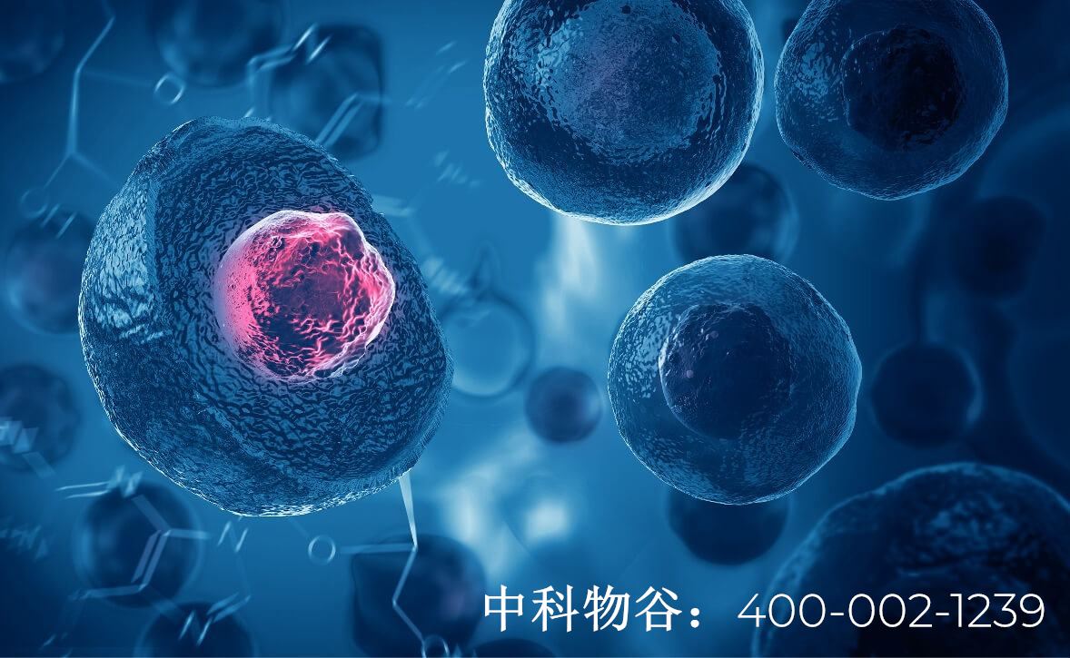 NK免疫细胞治疗：抗肿瘤的收官之战