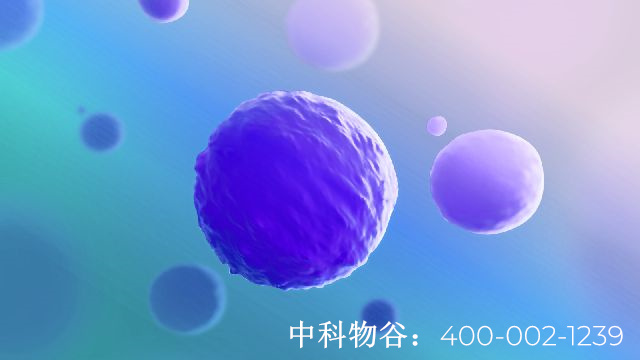 北京中科物谷NK细胞治疗肺癌