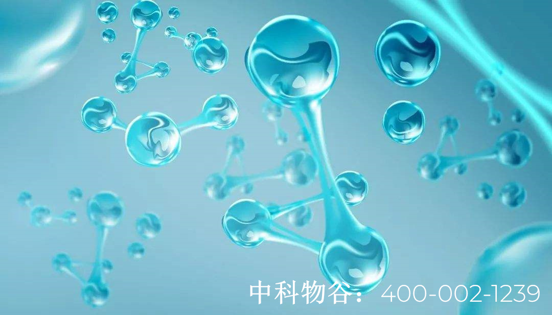中国最大干细胞的公司排名