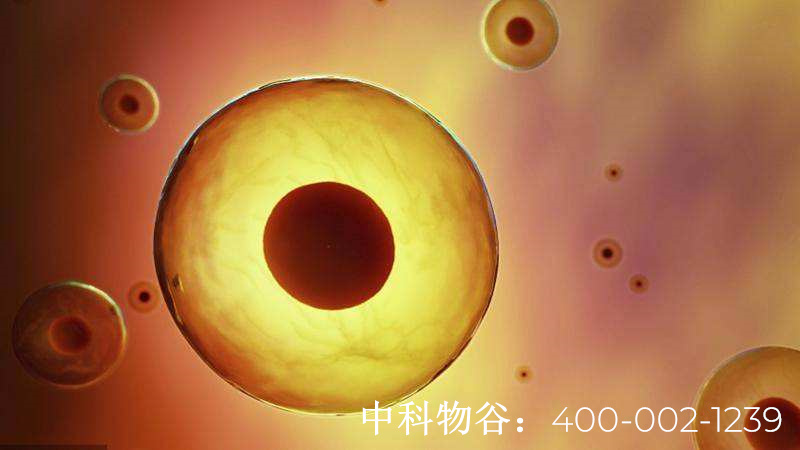 中国批准的干细胞医院都有哪些-中科物谷