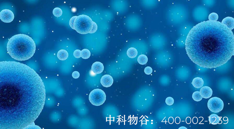 北京中科物谷NK干细胞