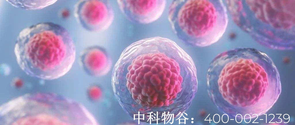 食道癌可以用生物免疫治疗吗效果到底怎么样