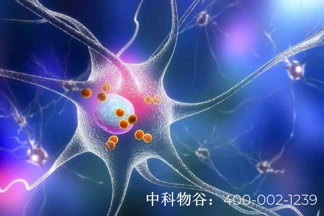 生物免疫療法肺癌治療有效嗎是如何治療的