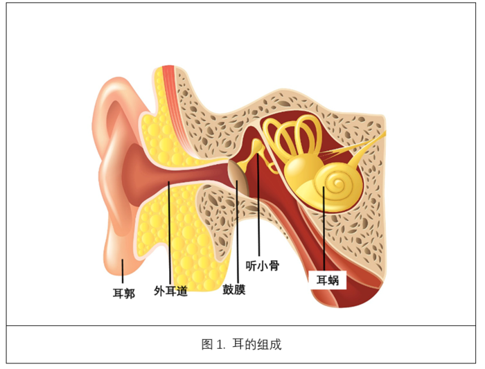 先天性耳瘘做手术费用