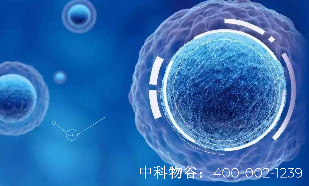 中國nk細胞治療醫院中科物谷nk細胞免疫療法