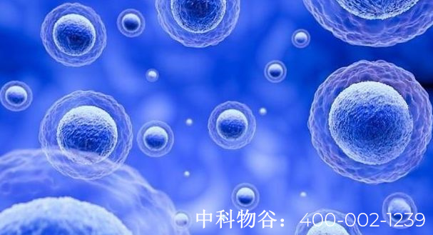 中國干細胞公司