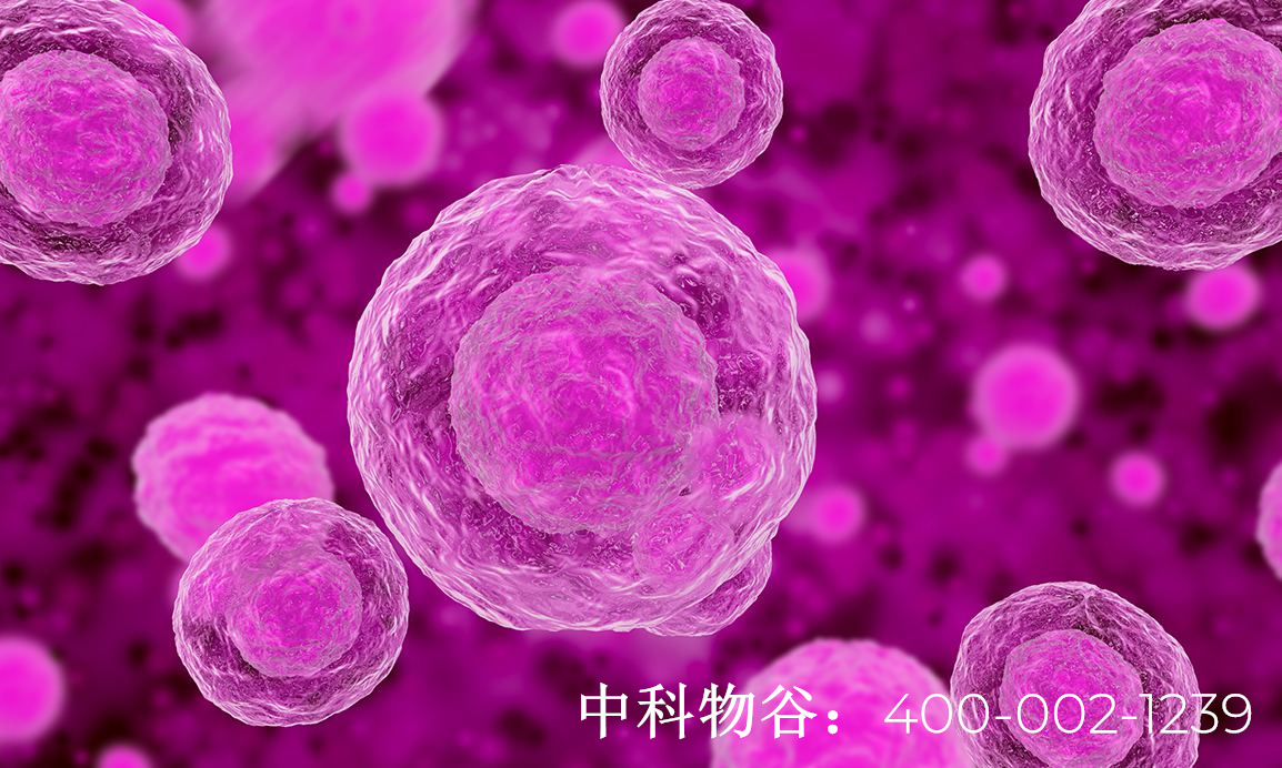 NK免疫细胞治疗肿瘤-