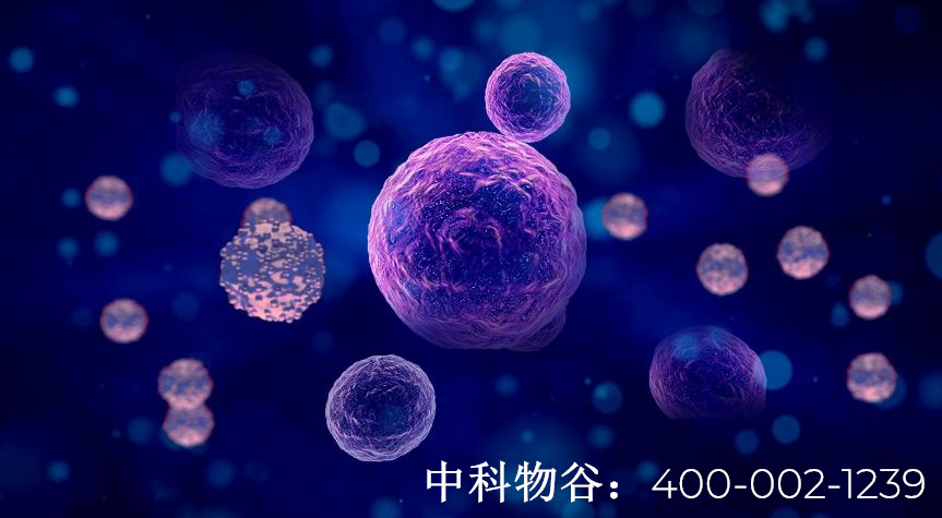 中国批准的干细胞机构-中科物谷生物干细胞