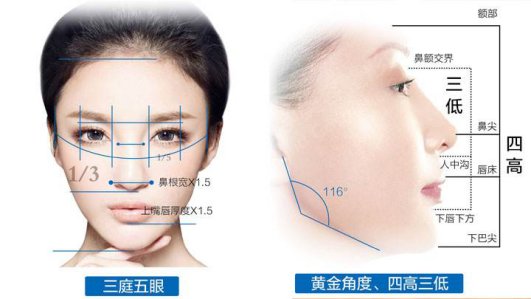 肋骨鼻全部取出价格