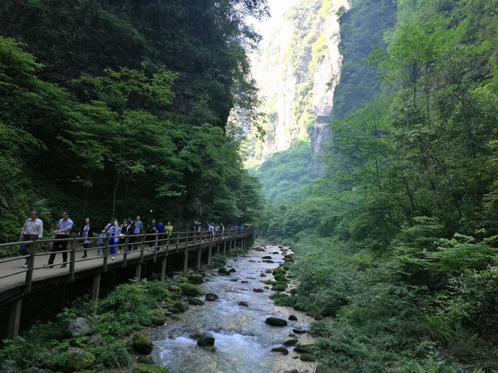 湖南张家界暑假旅游线路，暑期自然有暑期的玩法