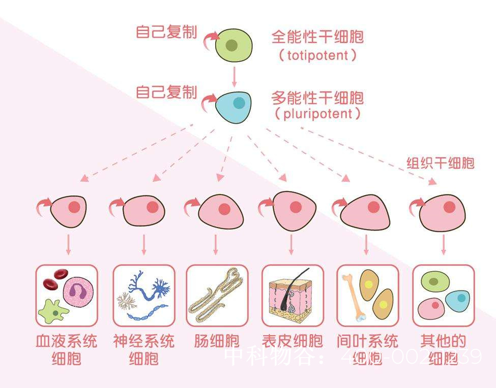 北京最有名的肿瘤专家