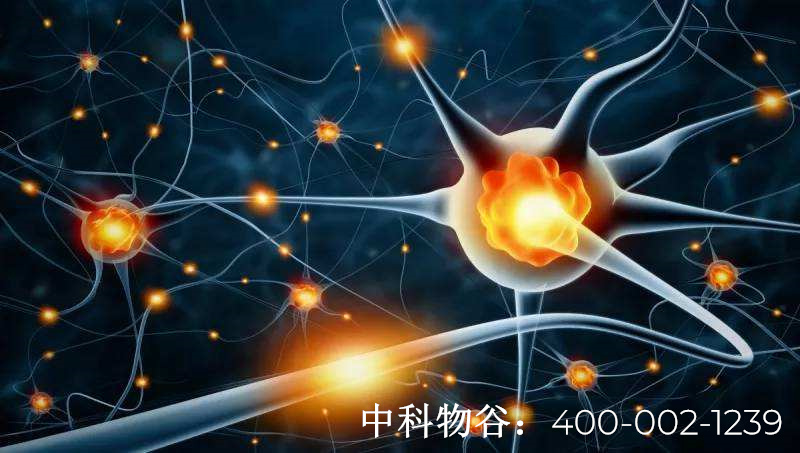 中国干细胞集团-中科物谷