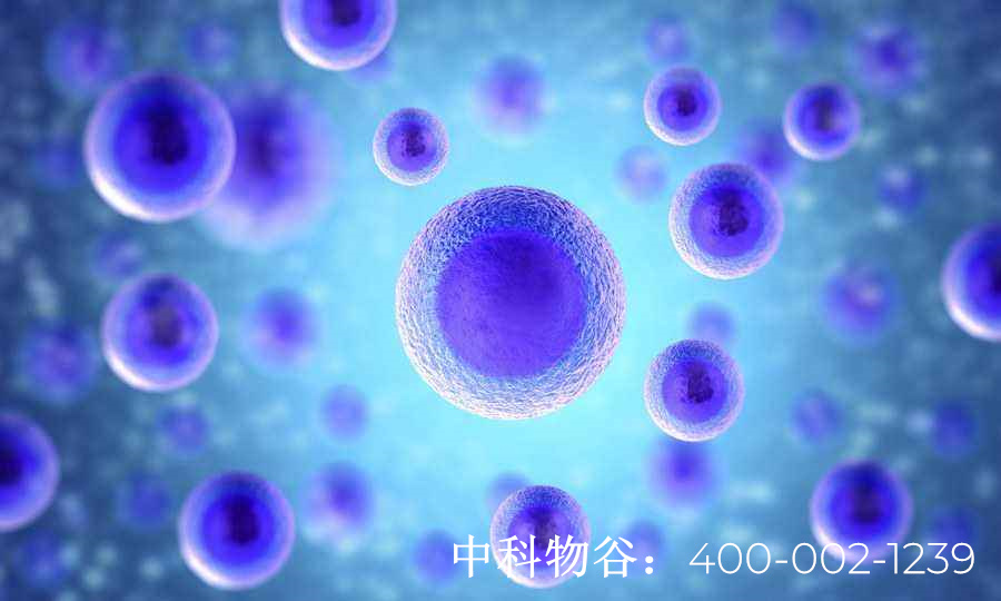 中国七大干细胞库都是哪-中科物谷生物干细胞