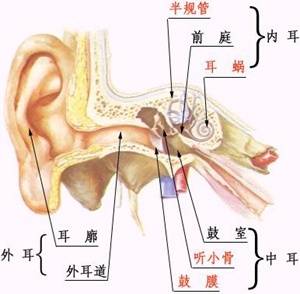 小耳畸形矫正手术