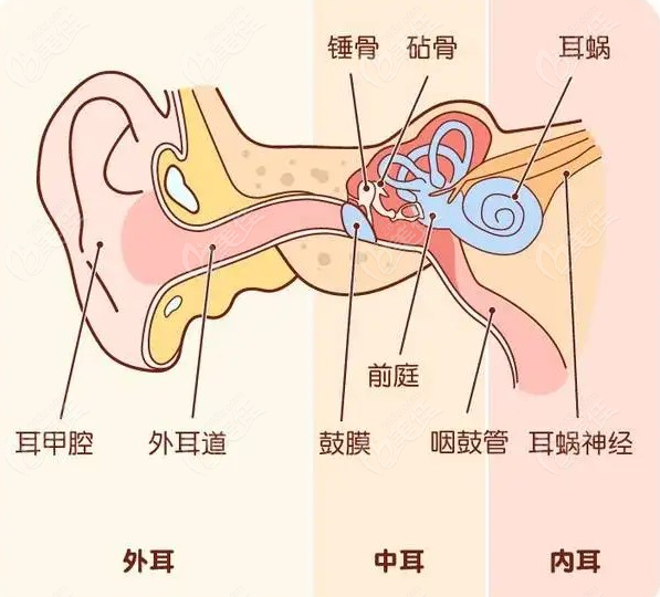 先天性耳前瘘手术费用