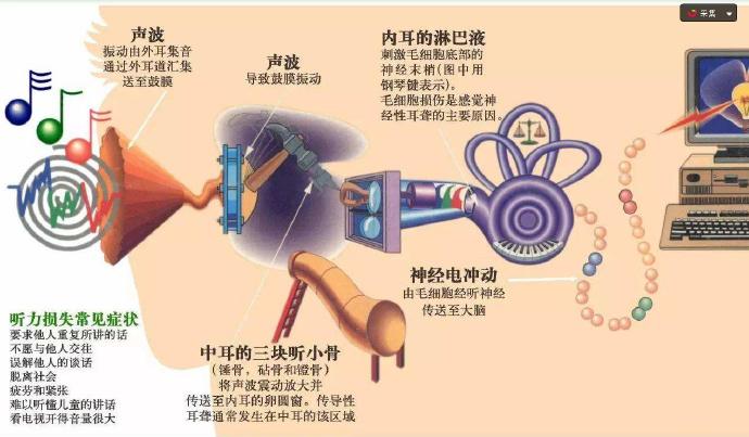 外耳再造手术要花多少钱