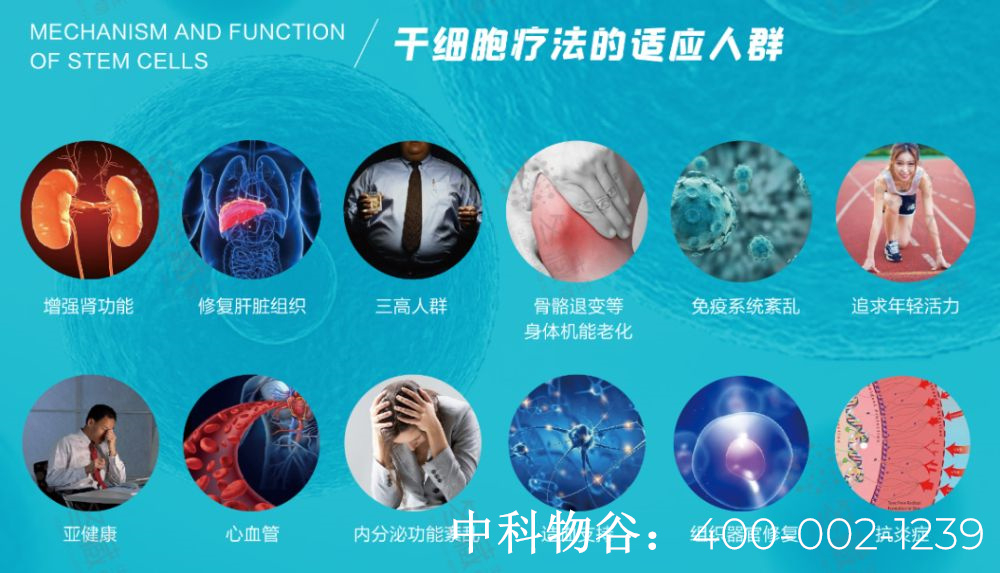 生物免疫疗法治疗宫颈癌的费用是多少