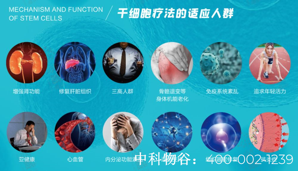 中国干细胞医院名单