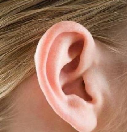 先天性耳瘘发炎原因