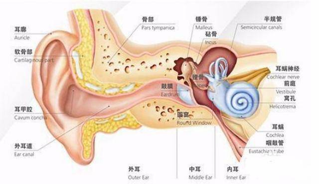 先天耳道闭锁可以治吗