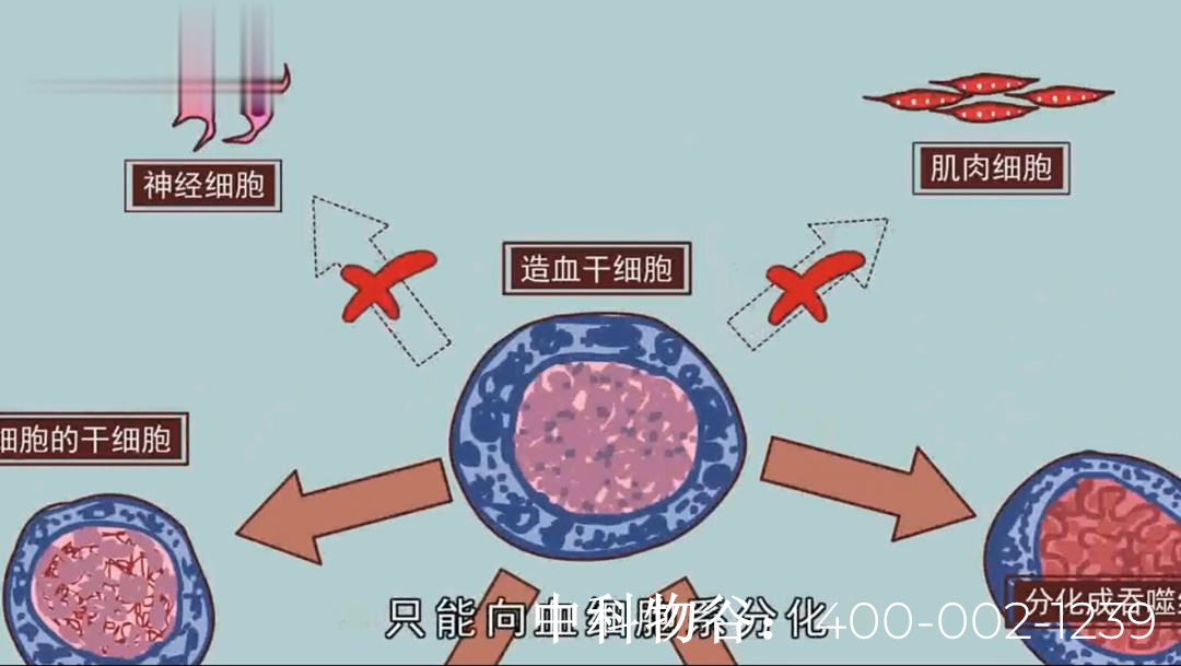 肝癌手术后生物细胞免疫治疗能有用吗