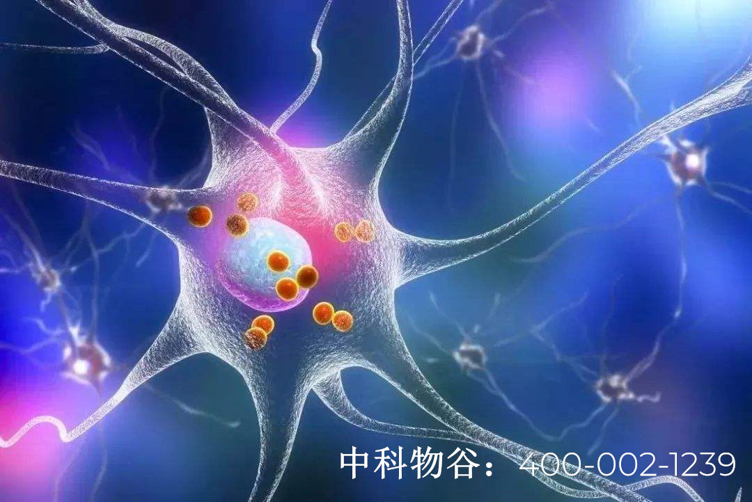 免疫疗法中国能做了吗中科物谷nk细胞免疫疗法