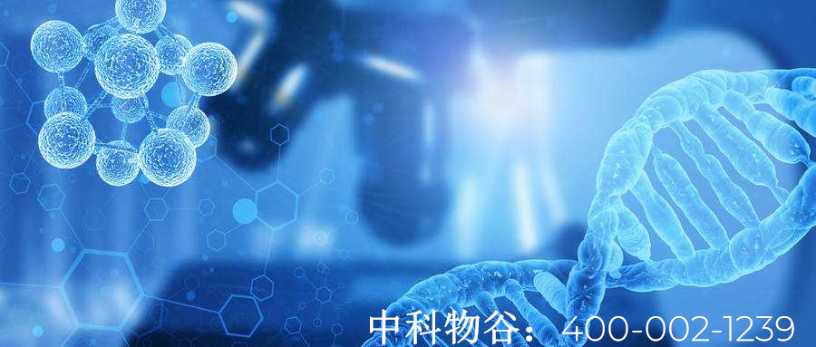 干细胞回输的作用是什么呢