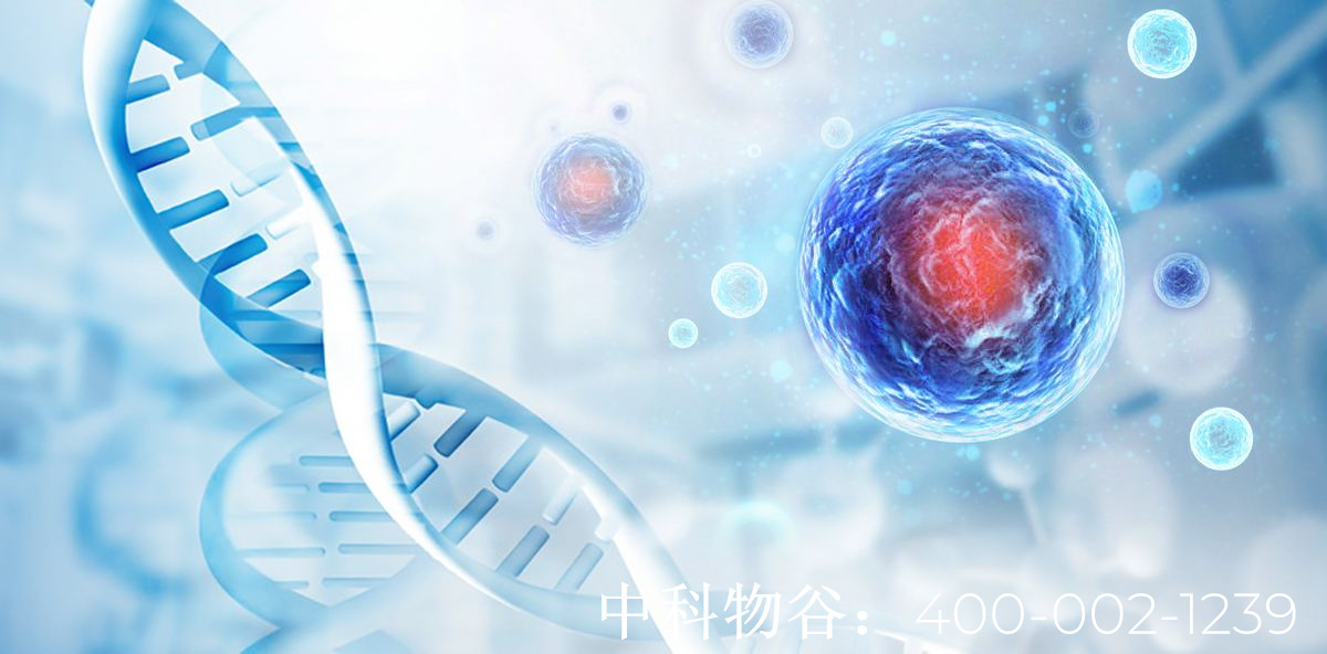 中科物谷NK免疫细胞可以治疗肝癌吗