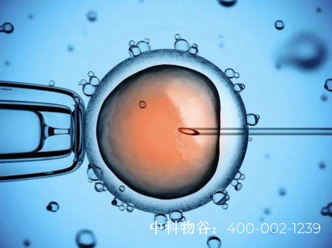 打胚胎干细胞的好处