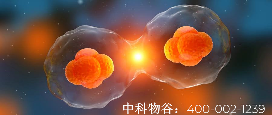 中科物谷NK免疫细胞治食道癌