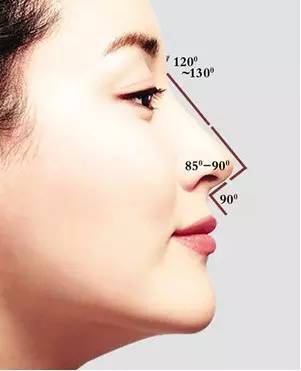 假体鼻分几种型号