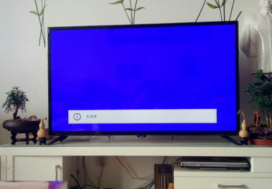 电视蓝屏没图像怎么办