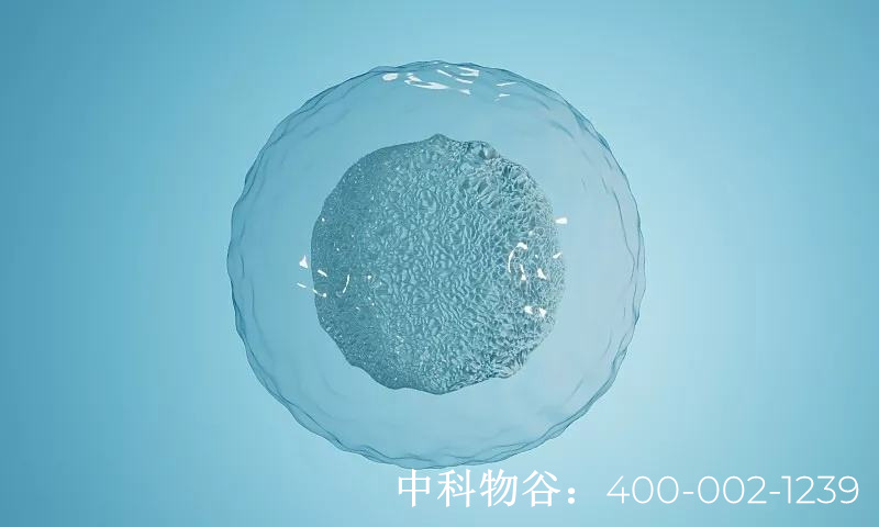 胃癌生物免疫疗法价格是多少哪家医院治胃癌好