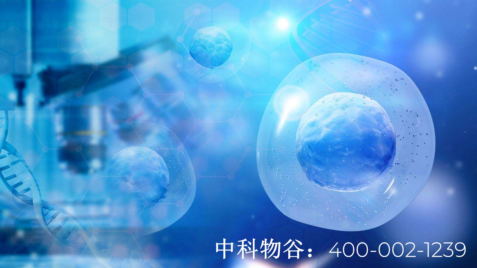中国批准的干细胞医院-中科生物