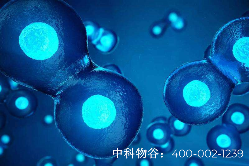 中国干细胞介绍