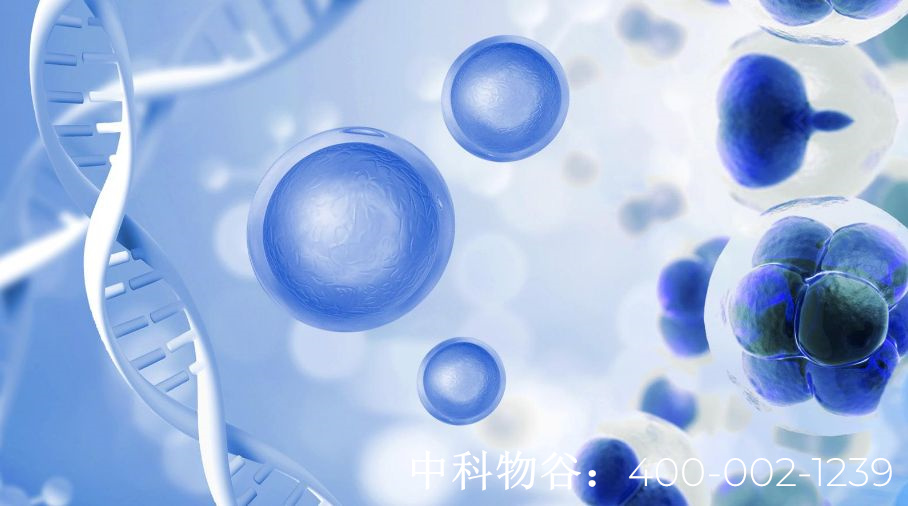 中国干细胞排名